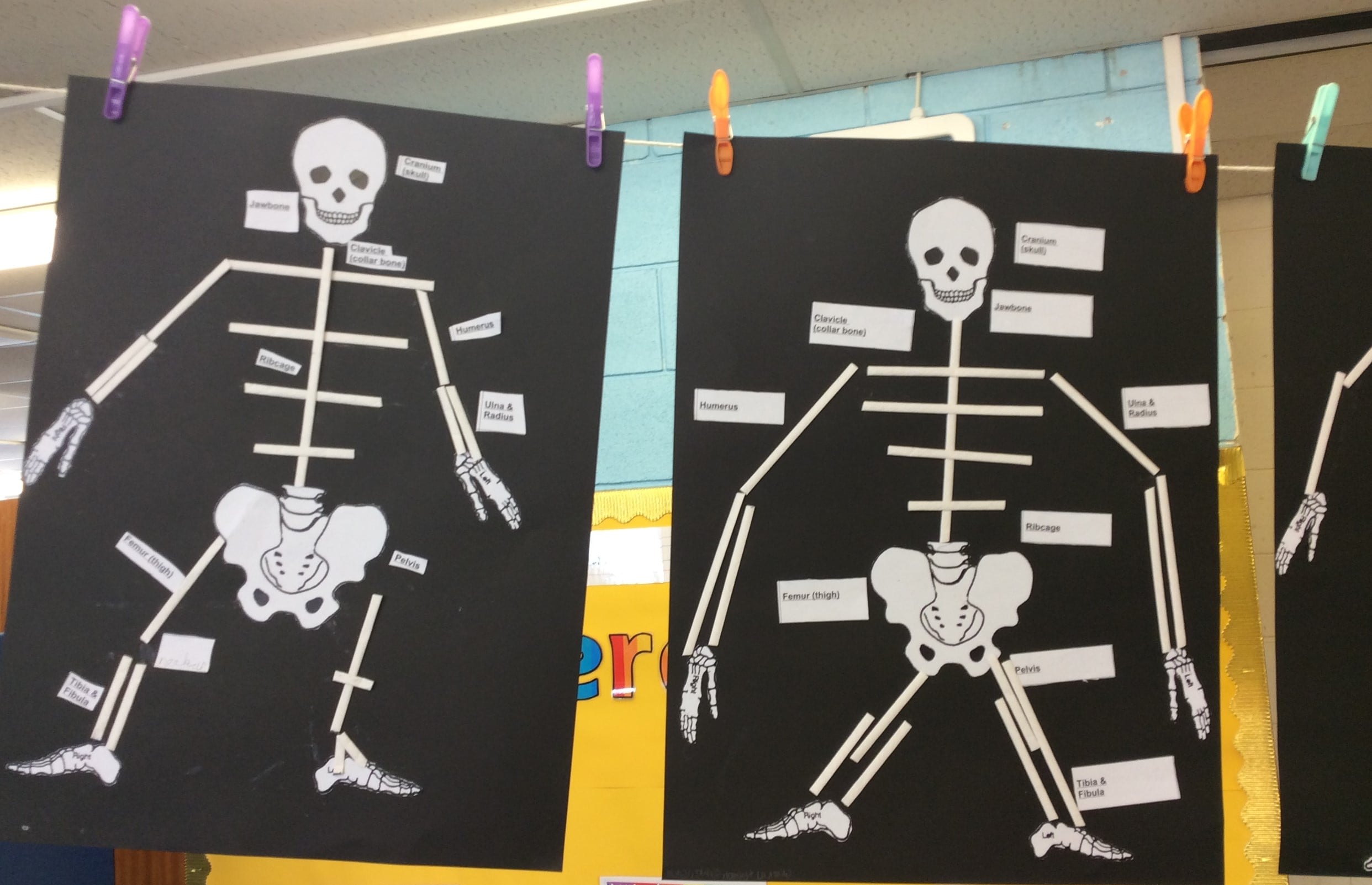 Art, reading and skeletons Lydgate Junior School